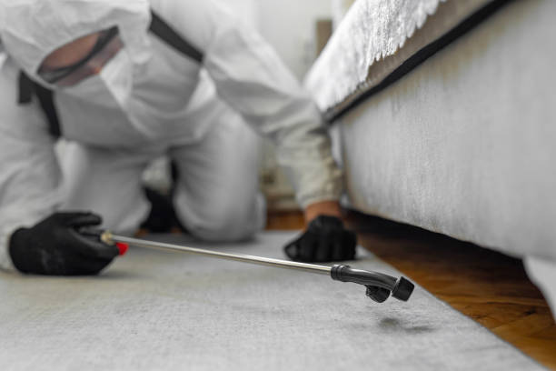 Professional Mosquito Control technician working in Payson, UT