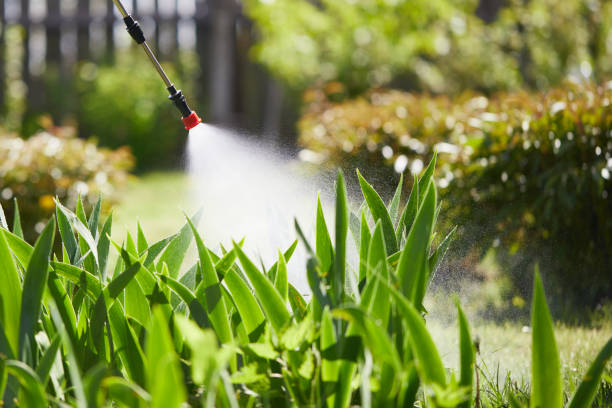 24/7 Emergency Mosquito Control experts in Payson, UT