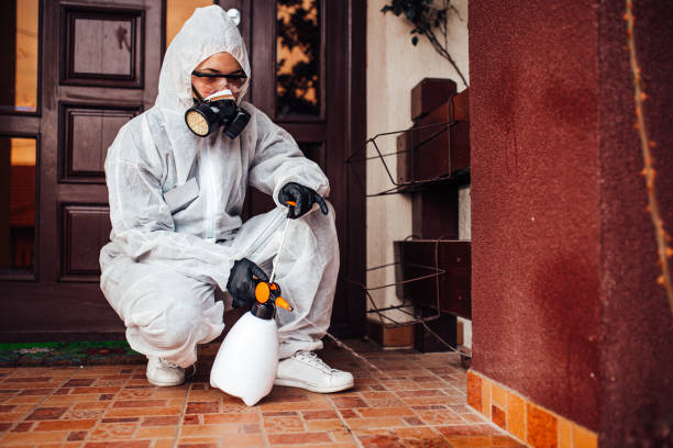 Reliable Mosquito Control contractor in Payson, UT by Nex Pest Control